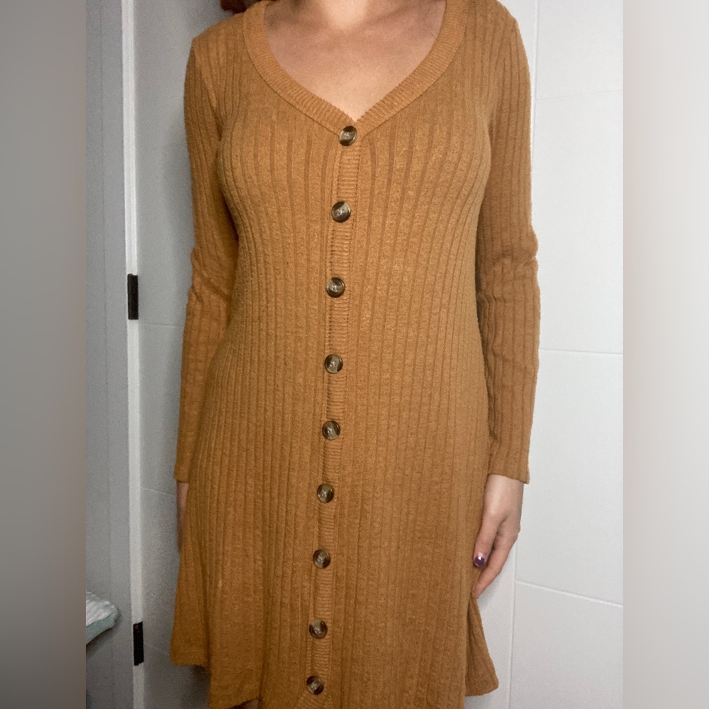 Brown/Tan American Eagle Sweater Dress